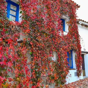 Casita Collado 1 Alájar